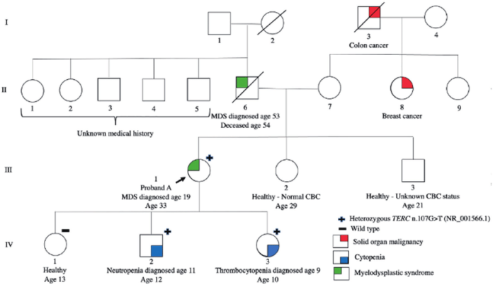 Roman Numerals in Genealogy and Family History Research