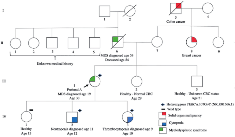 Roman Numerals in Genealogy and Family History Research